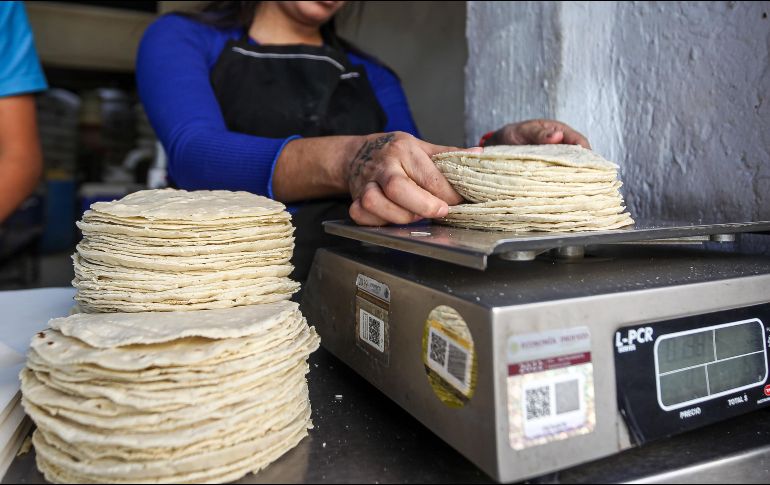 El precio promedio del kilo de tortilla en las principales tortillerías de Guadalajara ronda los 24 pesos. EL INFORMADOR / H. Figueroa