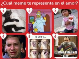Este San Valentín los memes ya han tomado lugar en las redes sociales. ESPECIAL/Foto de san jose en Facebook