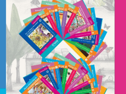 En la traducción de los materiales de educación básica participaron traductores de 17 de los 32 estados del país. X/@Letamaya