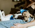 Dormir con las mascotas es un hábito común para quien tiene animales en casa. ESPECIAL/ Foto de Chewy en Unsplash