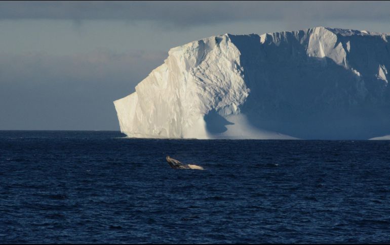 La Antártida se encuentra en riesgo ante el calentamiento global. EFE/ ARCHIVO