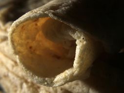 La tortilla de maíz es una fuente sorprendentemente rica en calcio, con dos piezas que proporcionan la misma cantidad de calcio que un vaso de leche. NTX / ARCHIVO