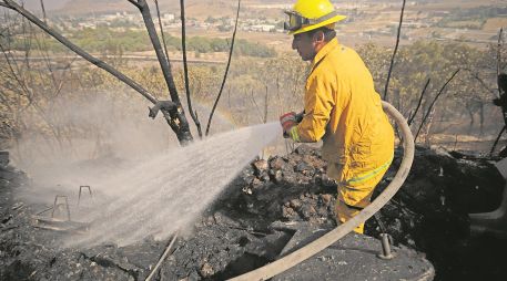 Las autoridades se preparan para evitar las afectaciones por incendios forestales que se tuvieron en 2023. EL INFORMADOR