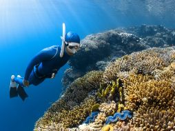 Algunas playas son ideales para realizar snorkel. Unsplash