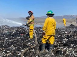 En el combate al fuego, participaron elementos de bomberos de Tlaltenango, Zacatecas, así como de Protección Civil estatal, Villa Guerrero y  Santa María. ESPECIAL.