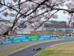 Gran Premio de Japón: Revancha o confirmación