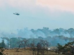 Las autoridades también echaron mano de un helicóptero para tratar de controlar el incendio forestal en el Área Natural Protegida del Bosque La Primavera, que anoche era combatido por 175 brigadistas. EL INFORMADOR