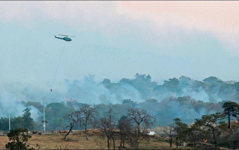 Las autoridades también echaron mano de un helicóptero para tratar de controlar el incendio forestal en el Área Natural Protegida del Bosque La Primavera, que anoche era combatido por 175 brigadistas. EL INFORMADOR