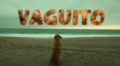 Vaguito: te esperaré en la orilla fue estrenada el 18 de abril y causó gran emoción en el público peruano. ESPECIAL