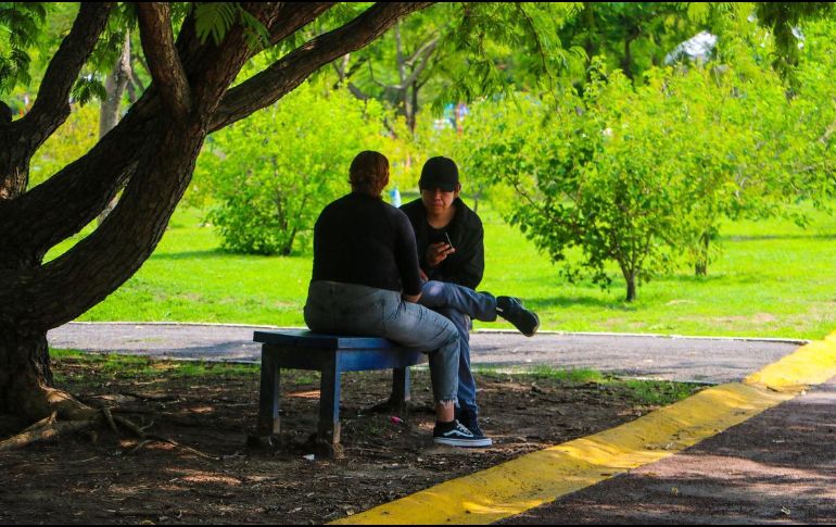 Un estudio realizado por la Universidad Iberoamericana ha destacado la capacidad refrescante de los parques y espacios verdes en áreas urbanas. EL INFOMADOR/ARCHIVO