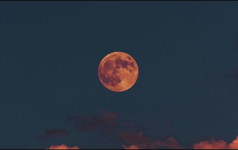Entre las curiosidades, te compartimos la razón de porqué la luna llena de mayo es conocida como la “luna de flores”. UNSPLASH/ Altınay Dinç