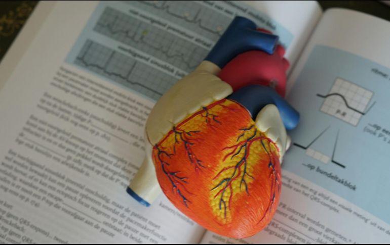 La arritmia cardíaca puede presentarse sin síntomas aparentes. Unsplash.