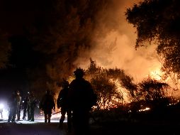 El problema de los incendios se está agravando en muchas regiones del mundo. EFE / ARCHIVO