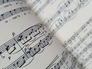 El estudio cuantitativo de las canciones populares de Estados Unidos muestra la disminución de complejidad en la melodía, aunque esto no significa que no haya complejidad en otros elementos, señalaron los investigadores. ESPECIAL / Imagen de Pusteblume0815 en Pixabay