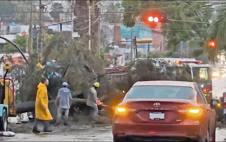 Postes y cables derribados son la constante en cada tormenta, árboles caídos que detonan afectaciones en infraestructura y daños al sistema eléctrico. ESPECIAL
