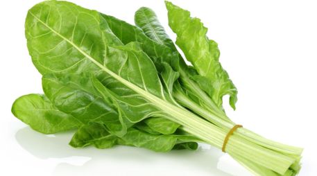 La acelga es una verdura versátil y altamente nutritiva que puede ofrecer una variedad de beneficios para la salud cuando se consume regularmente. CANVA