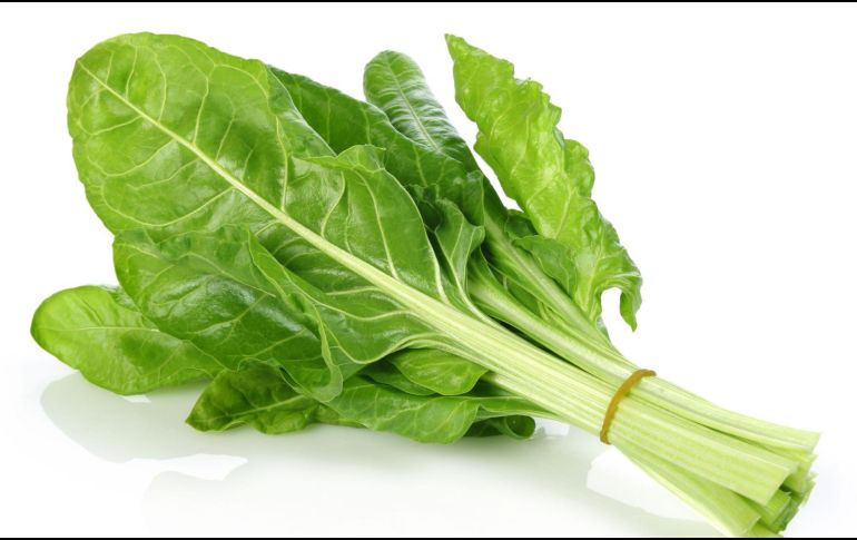 La acelga es una verdura versátil y altamente nutritiva que puede ofrecer una variedad de beneficios para la salud cuando se consume regularmente. CANVA