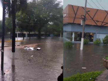 De acuerdo con la Coordinación Municipal de Protección Civil y Bomberos de Zapopan, al menos seis vehículos quedaron varados luego de que creciera el nivel del agua en la avenida López Mateos, en las inmediaciones de Plaza del Sol. ESPECIAL