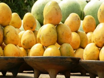 El mango es una fruta versátil y fácil de incorporar en diversas preparaciones culinarias. UNSPLASH/ Yoel Winkler