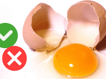 Mientras que el consumo diario de huevo puede afectar los niveles de colesterol en algunas personas, los estudios sugieren que en la mayoría de los casos, consumir hasta un huevo al día como parte de una dieta balanceada no necesariamente conduce a un aumento significativo en el riesgo cardiovascular.  CANVA