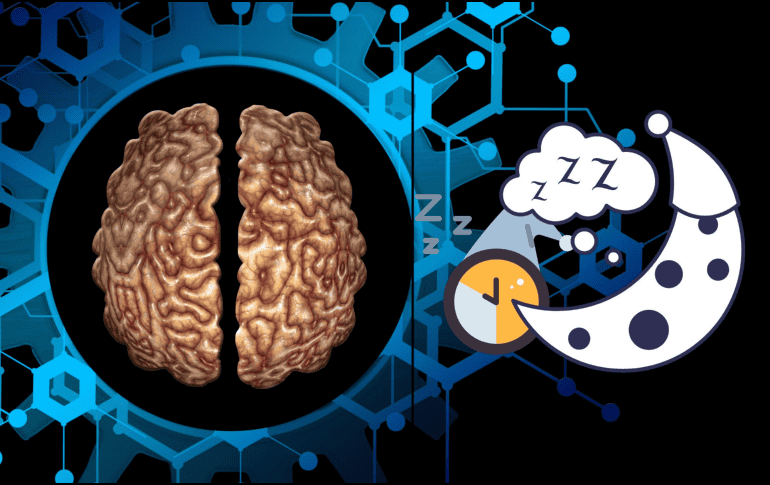 Esta investigación no solo proporciona una nueva comprensión de cómo el cerebro maneja el sueño y la vigilia, sino que también plantea preguntas importantes sobre la naturaleza misma de estos estados.  CANVA