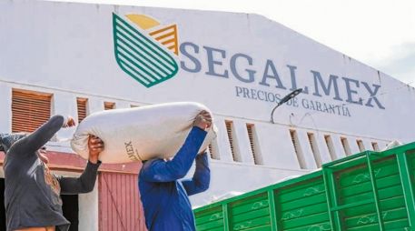 Segalmex, creada por este Gobierno para garantizar el abasto de granos básicos y leche, ha sido vulnerada por los casos de corrupción. ESPECIAL
