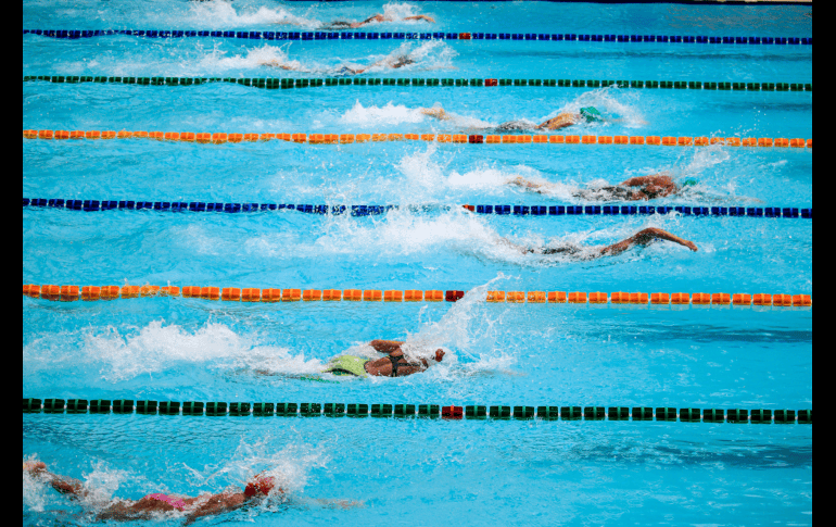 Una piscina olímpica puede albergar hasta casi 4 millones de litros de agua. CANVA