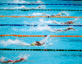 Una piscina olímpica puede albergar hasta casi 4 millones de litros de agua. CANVA