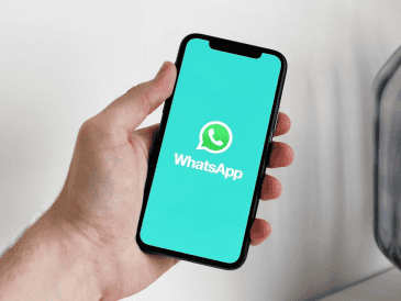 WhatsApp ahora también permite buscar "sticker" mediante GIPHY. Pixabay.