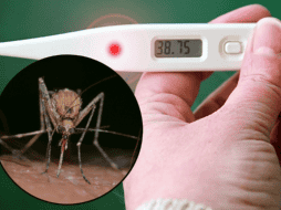 Brasil, la entidad con mayor número de casos de virus de Oropouche, ha registrado los primeros contagios de infección vertical. ESPECIAL/Imagen de FRANCO PATRIZIA en Pixabay/Imagen de Gundula Vogel en Pixabay