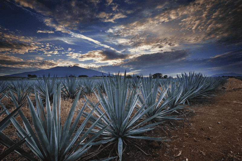 FOTO/MÉXICODESCONOCIDO    