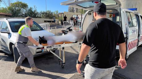 Autoridades llaman a todos los hospitales en las áreas afectadas a que activen el nivel de 