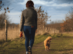 Caminar de manera regular, puede ser beneficioso para el cuerpo. Pixabay