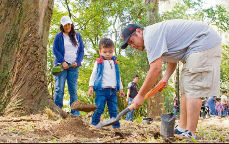 Para Bosque Urbano de Extra, la reforestación en la ciudad es única en el mundo, gracias a la forma en que se involucra a las familias tapatías. EL INFORMADOR