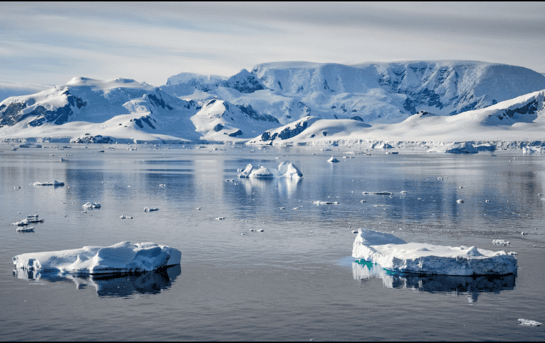 El reverdecimiento de la Antártida seguirá creciendo mientras siga la contaminación, ya que este lugar se seguirá calentando con el tiempo. Pixabay