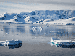 El reverdecimiento de la Antártida seguirá creciendo mientras siga la contaminación, ya que este lugar se seguirá calentando con el tiempo. Pixabay