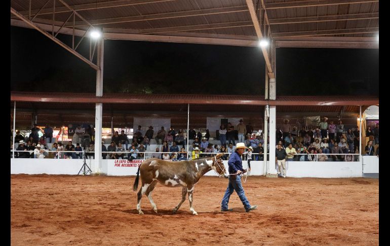 Esta tarde se inauguró la 60° edición de la Expo Ganadera en sus instalaciones, ubicadas en la calzada Huascato número 915, en la colonia El Álamo, en el municipio de Tlaquepaque. EL INFORMADOR / H. Figueroa