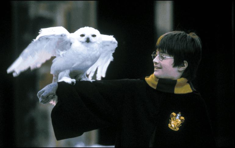 Desde su primera entrega en el 2001,  esta saga ha ganado una enorme popularidad a nivel mundial. WARNER BROS / REUTERS/ ARCHIVO