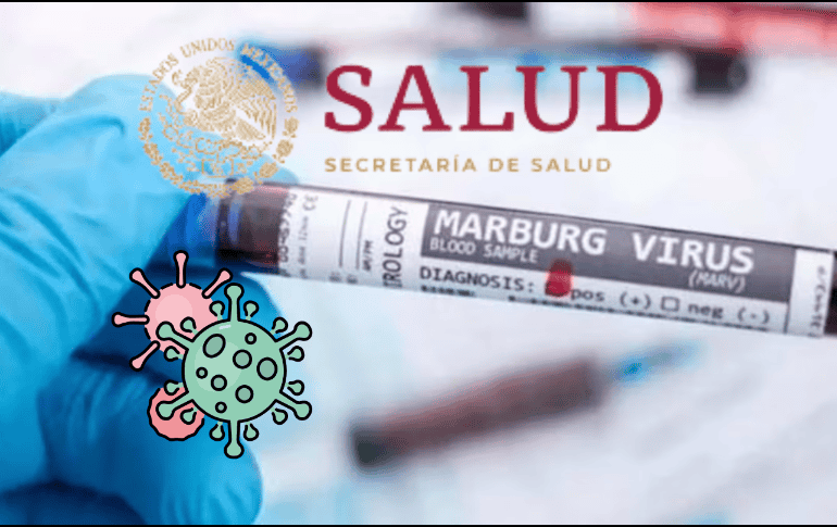 El Virus de Marburgo proviene de la misma familia Filoviridae del Ébola, por lo que provoca síntomas muy parecidos. ESPECIAL/ CANVA