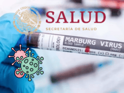 El Virus de Marburgo proviene de la misma familia Filoviridae del Ébola, por lo que provoca síntomas muy parecidos. ESPECIAL/ CANVA