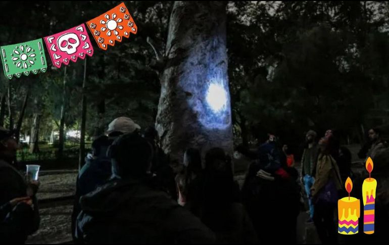 Al final del recorrido, la Agencia Metropolitana de Bosques Urbanos tendrá sorpresas para las y los participantes. EL INFORMADOR / ARCHIVO