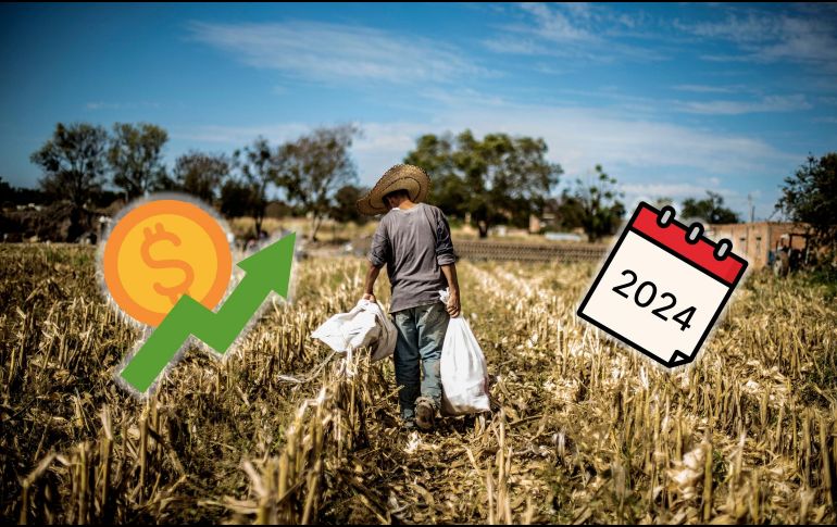 Ante estas estadísticas, la economía de México hila 14 trimestres consecutivos con crecimiento a tasa anual. EL INFORMADOR / ARCHIVO