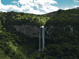 La selva amazónica es la más grande del mundo. Pexels