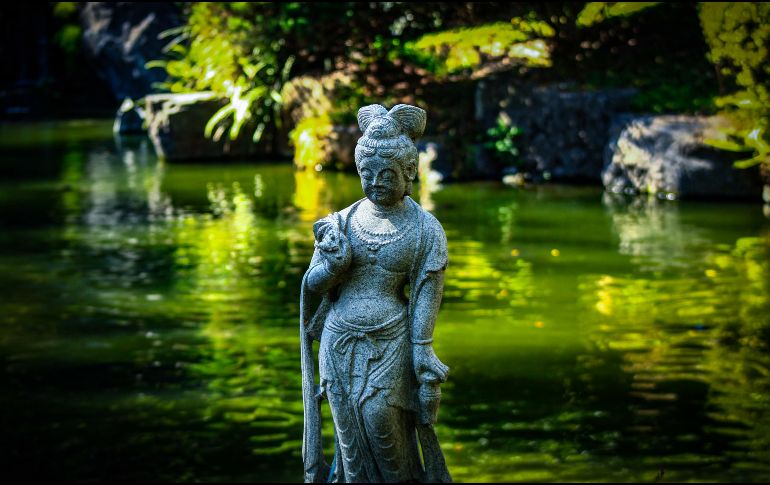 Este parque tiene amplias áreas verdes, sendero para correr, y diversidad de fauna. EL INFORMADOR / ARCHIVO