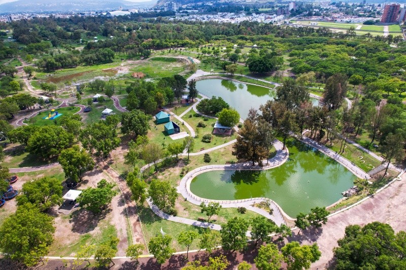 &nbsp;Su lago y senderos lo hacen un lugar multifacético, ideal para la relajación y el ejercicio o el esparcimiento familiar. EL INFORMADOR / ARCHIVO&nbsp;