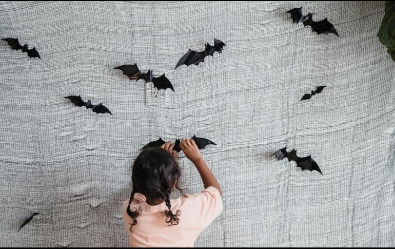 Los murciélagos son una parte esencial de la biodiversidad.Pexels