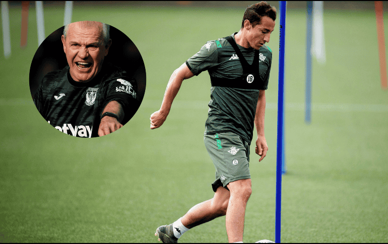 Su decisión no es por una negativa al deporte, si no por motivos personales. EFE / ARCHIVO