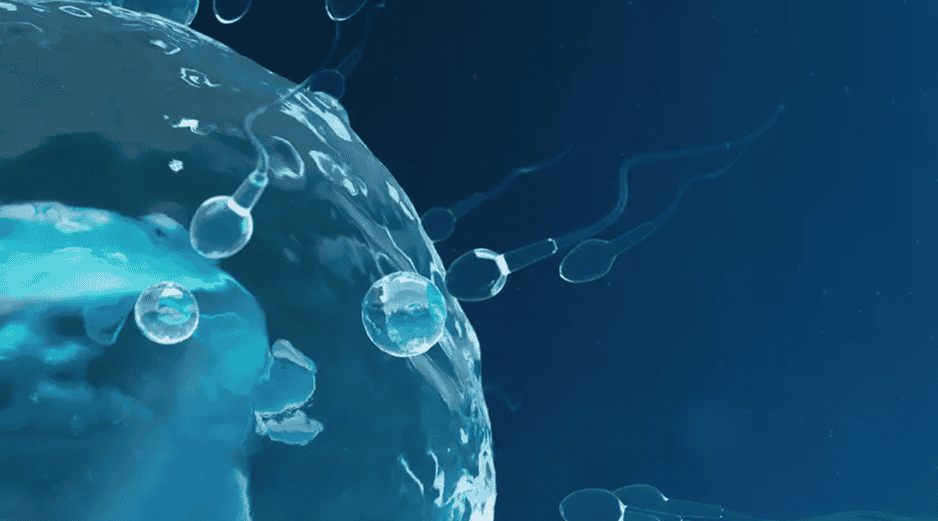 Se calcula que una de cada seis parejas sufre de infertilidad en el mundo. EFE / ARCHIVO