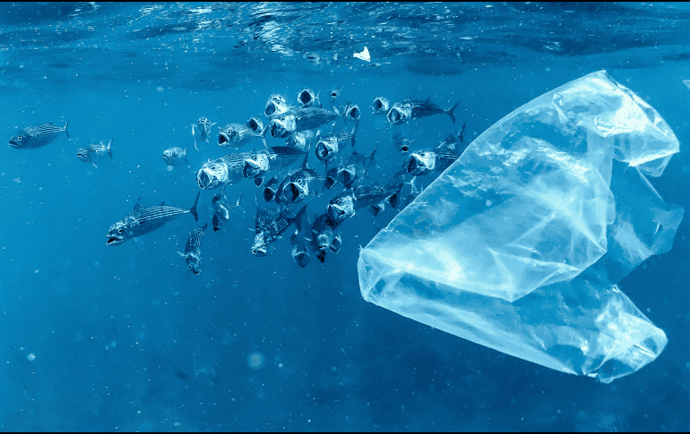 Las bolsas de plástico de un solo uso o envases de poliestireno de alto impacto usados para yogures o gelatinas, aparecen en la lista. UNSPLASH / N. BERTOLT