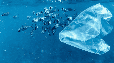 Las bolsas de plástico de un solo uso o envases de poliestireno de alto impacto usados para yogures o gelatinas, aparecen en la lista. UNSPLASH / N. BERTOLT